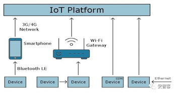 物联网与人工智能 驱动处理器架构革新与AI基础软件发展的双重引擎
