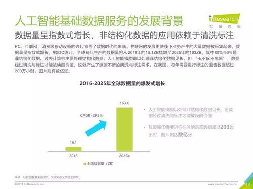 中国人工智能基础数据服务行业报告 驱动AI基础软件开发的隐形引擎